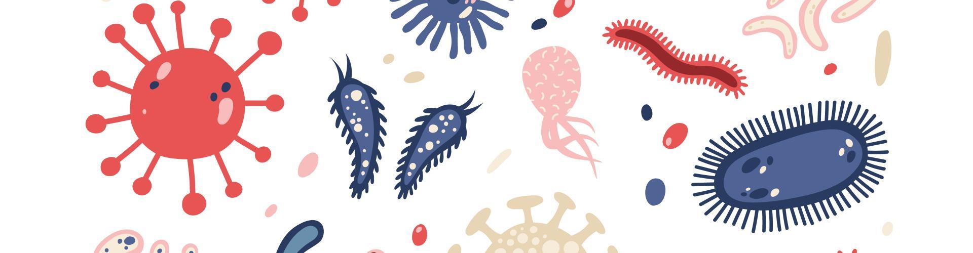 Bandeau - Les bénéfices des prébiotiques  sur la santé