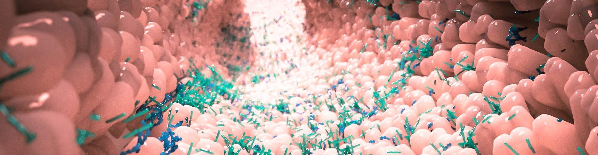 Microbiote intestinal - Bandeau Le microbiote intestinal, acteur clé de la santé