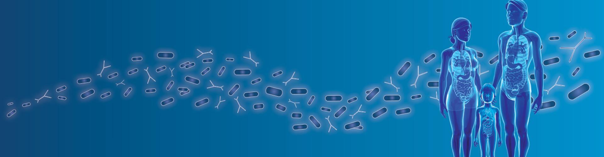 Visuel expertise Microbiotes