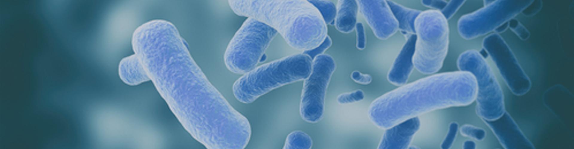 bandeau que faire en cas de diarrhée bandeau que faire en cas de diarrhée