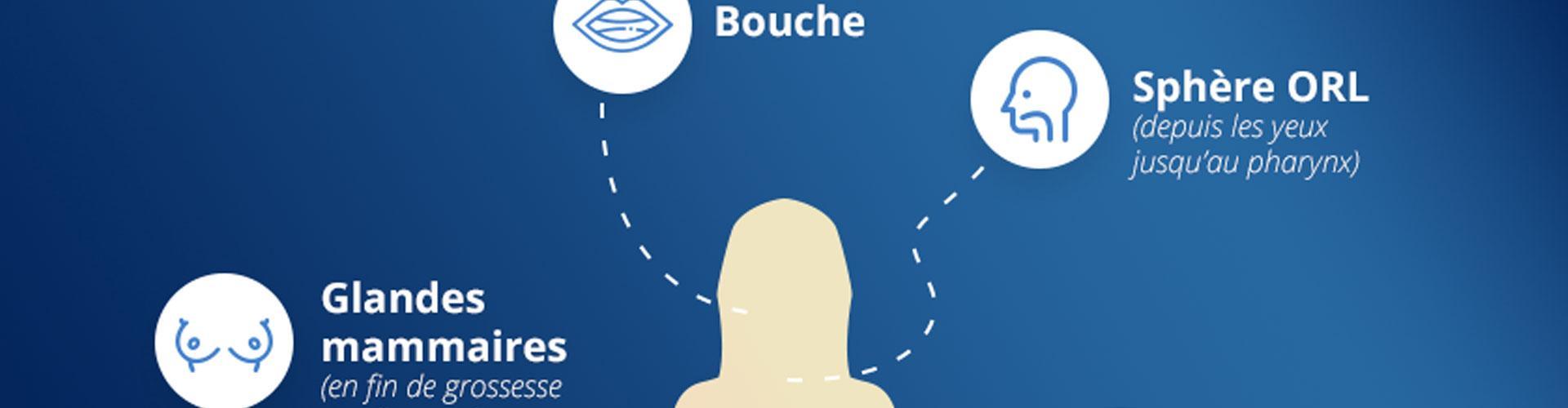 Bandeau infographie différents microbiotes