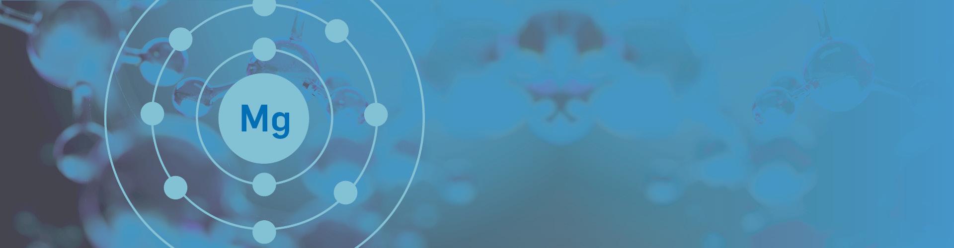 Magnesium