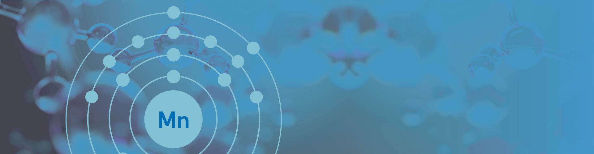 Mangan