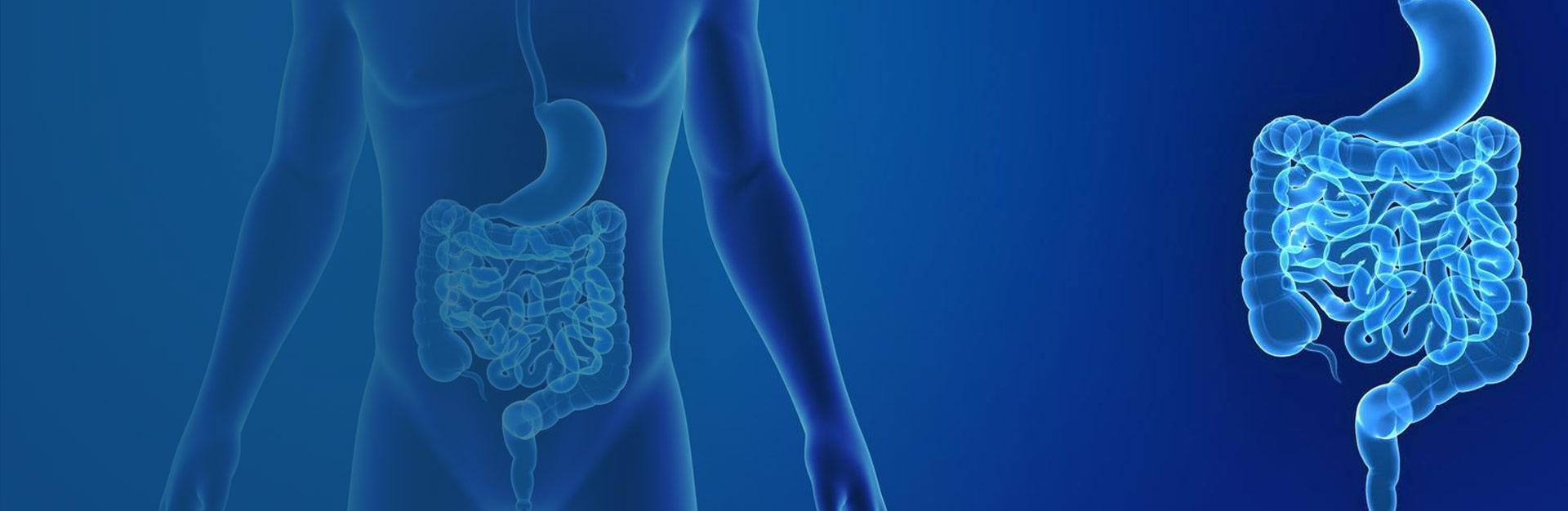 Comment agir sur le syndrome de l'intestin irritable SLIDER CH FR