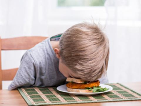 Alimentation du sommeil vignette Alimentation du sommeil vignette