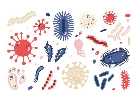 Vignette - Les bénéfices des prébiotiques  sur la santé Vignette - Les bénéfices des prébiotiques  sur la santé