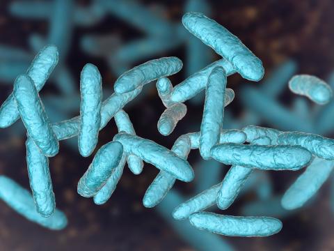 Visuel vignette microbiotes intestinal au coeur des troubles digestifs