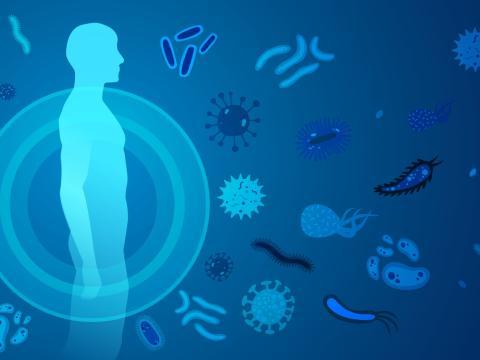 Système immunitaire personnes fragiles Système immunitaire personnes fragiles