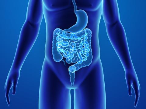 Vignette - SII Agir syndrome de l'intestin irritable