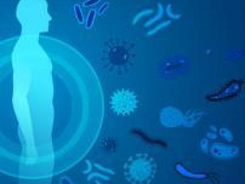 Welche Lösungen existieren zur Stärkung des Immunsystems geschwächter Personen? 