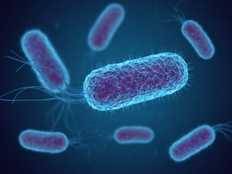 vignette comprendre infections urinaires Comprendre les infections urinaires