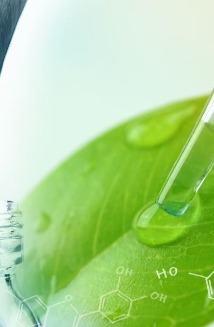 Thumbnail Winterinfektionspflanzen Soigner les infections hivernales avec les plantes