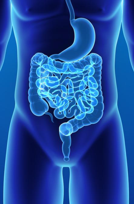 Vignette - SII Agir syndrome de l'intestin irritable