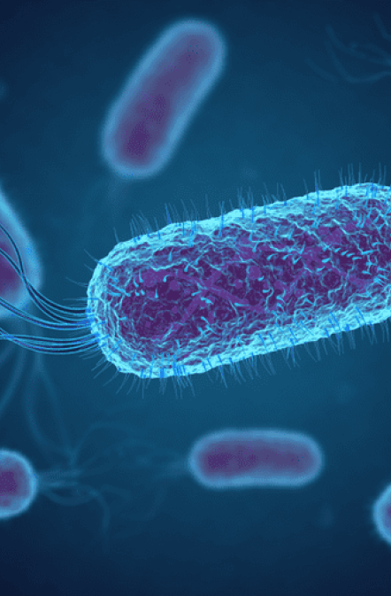 vignette comprendre infections urinaires vignette comprendre infections urinaires