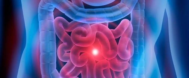 Microbiote intestinal