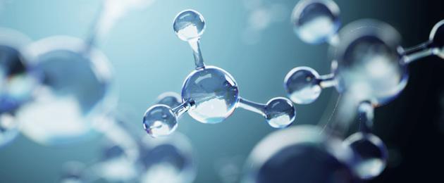 Les rôles clés des micronutriments Les rôles clés des micronutriments