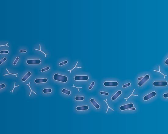 Visuel expertise Microbiotes