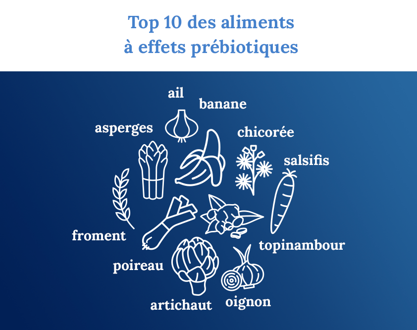 top 10 des aliments à effets prébiotiques
