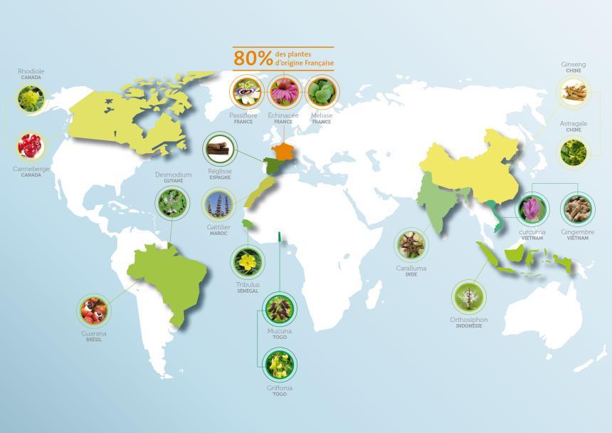 Map phyto
