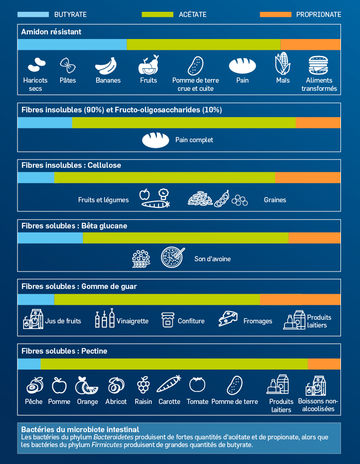 Types de fibres
