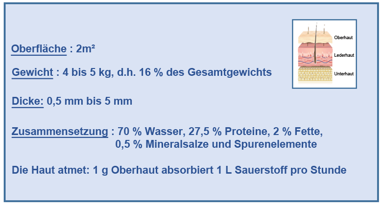 Die Haut: ein Personalausweis