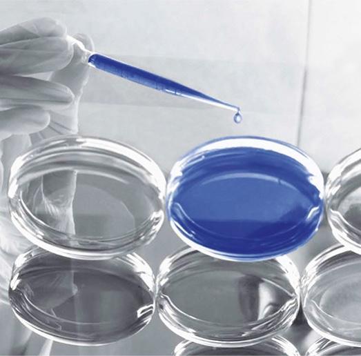 historique microbiotes historique microbiotes