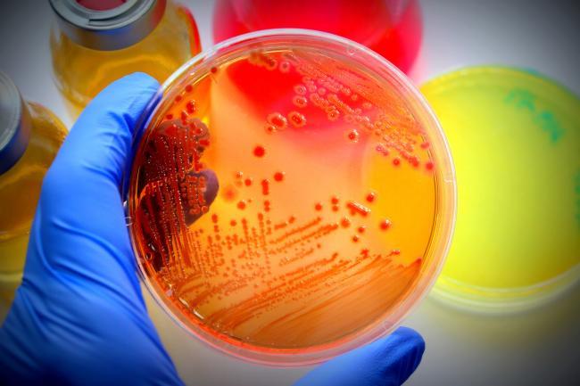Des prébiotiques pour améliorer le sommeil
