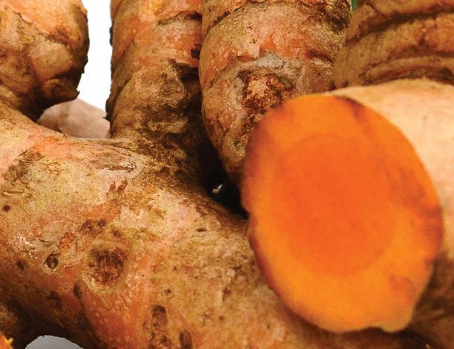 Curcuma