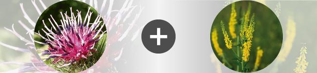associations Thumbnail