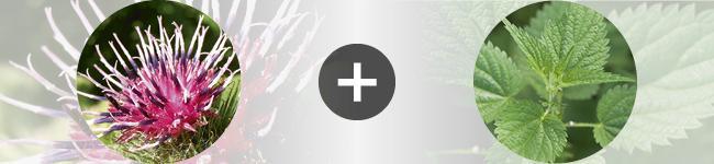 associations Thumbnail