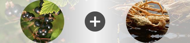 associations