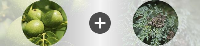 associations Thumbnail