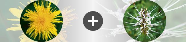 associations Thumbnail