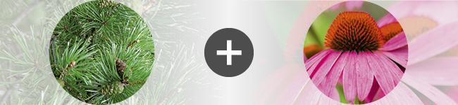 associations associations