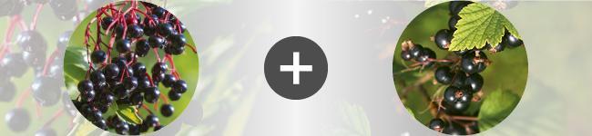 associations Thumbnail
