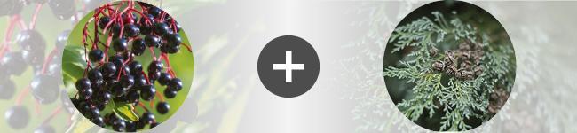 associations Thumbnail