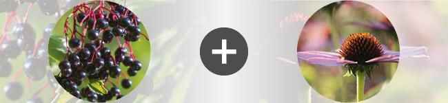 associations Thumbnail