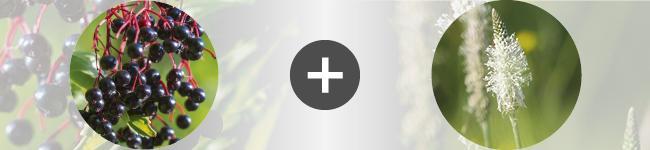 associations Thumbnail