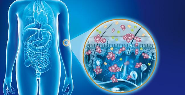 Visuel microbiotes cutanés