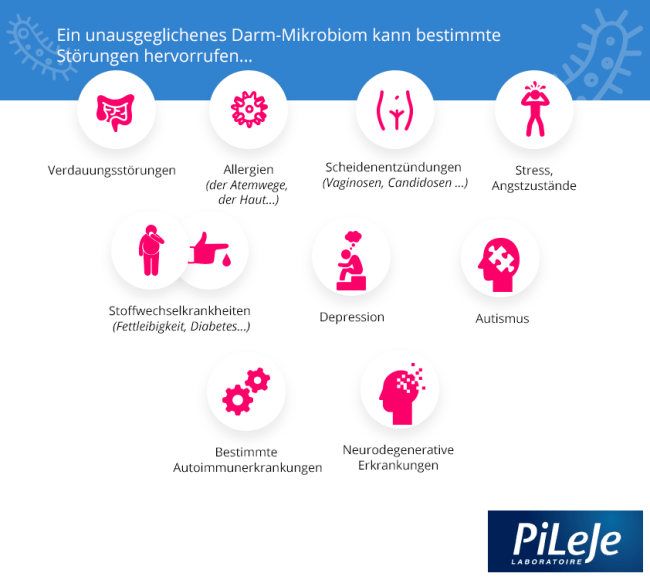 Das Know-how von PiLeJe