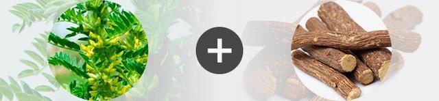 Association astragale + réglisse