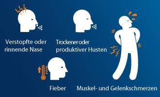 Der Schnupfen