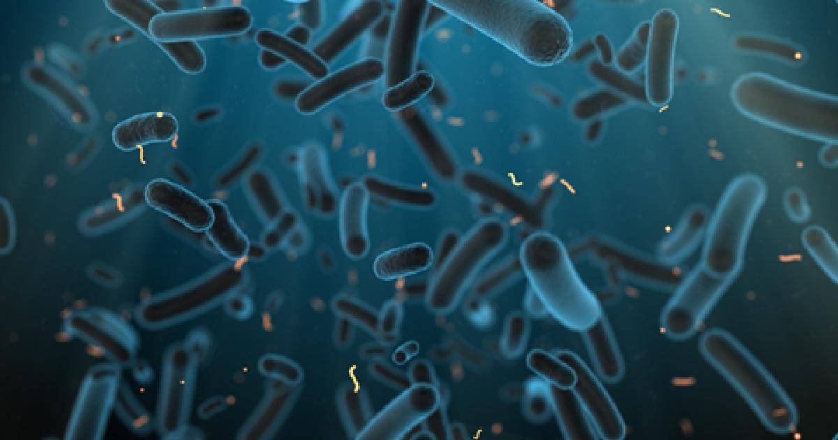 Mikrobiome, worum geht es? PiLeJe Micronutrition